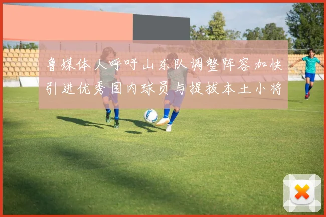 鲁媒体人呼吁山东队调整阵容加快引进优秀国内球员与提拔本土小将