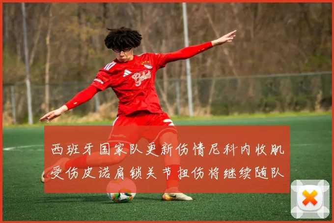 西班牙国家队更新伤情尼科内收肌受伤皮诺肩锁关节扭伤将继续随队训练